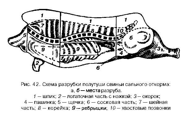 Разделка полутуши свинины схема