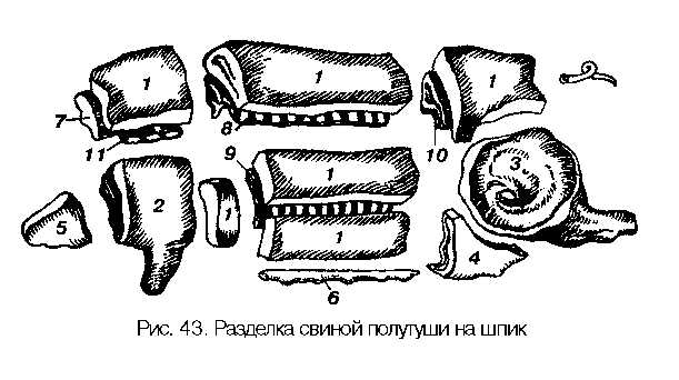 Разделка полутуши свинины схема