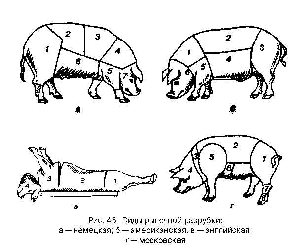 Где находится рулька у свиньи фото