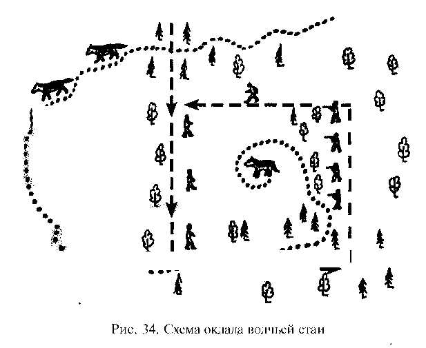Волчья стая схема
